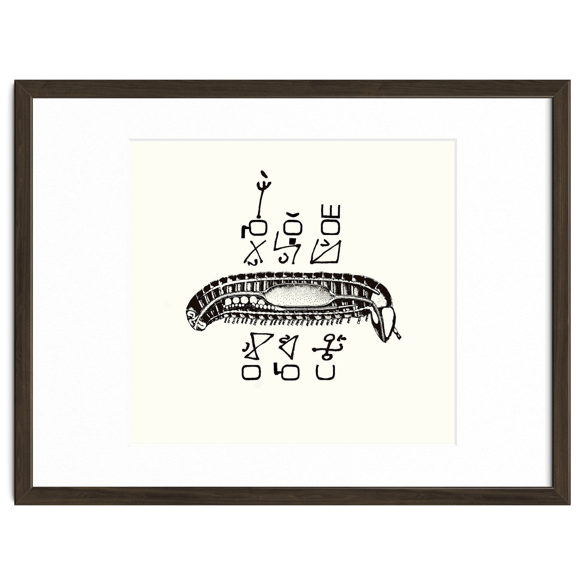 Diplopod David Felix