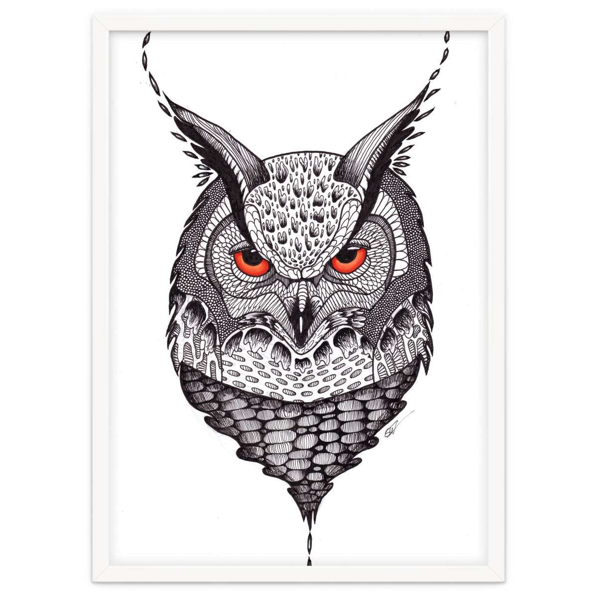 Owl