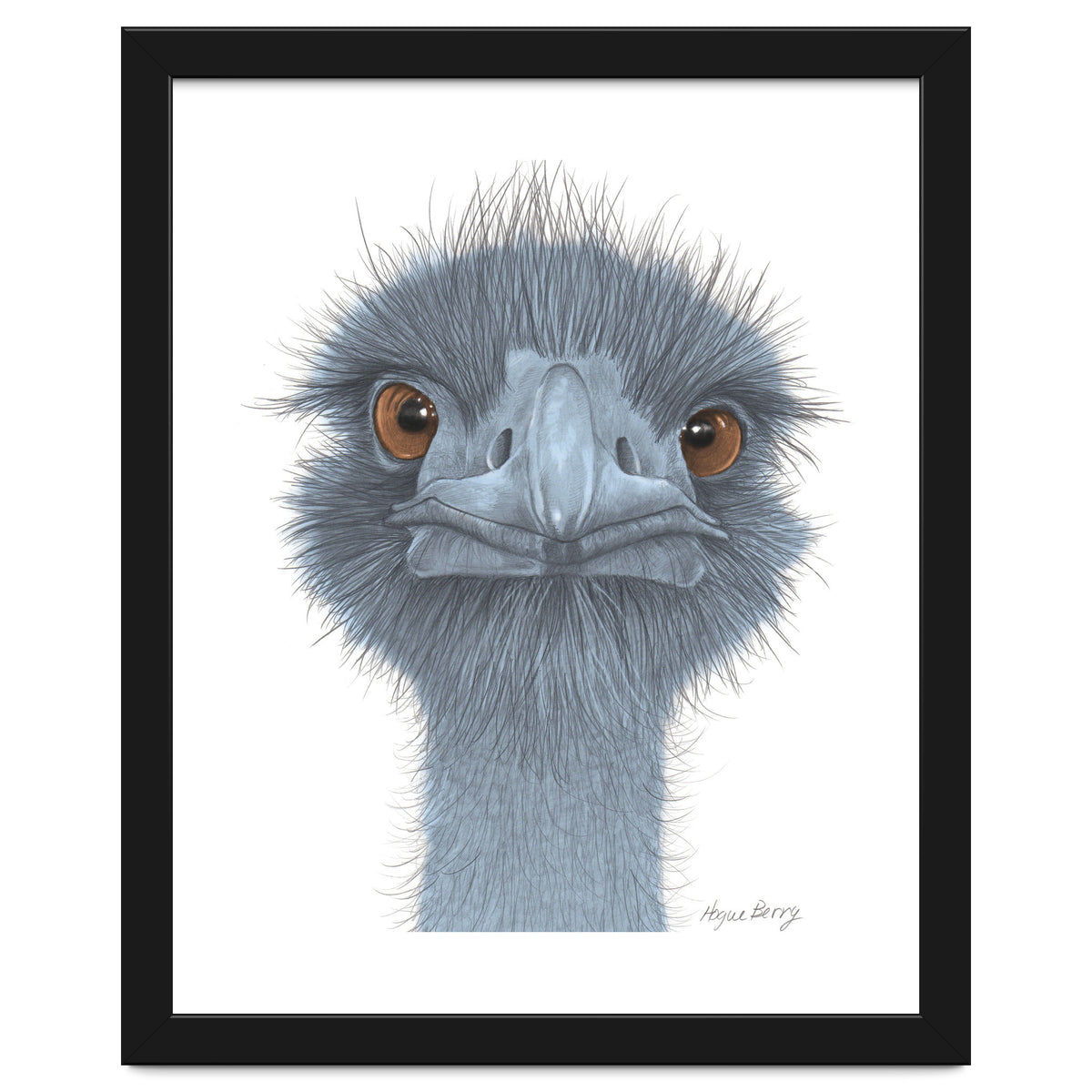 The Blue Emu