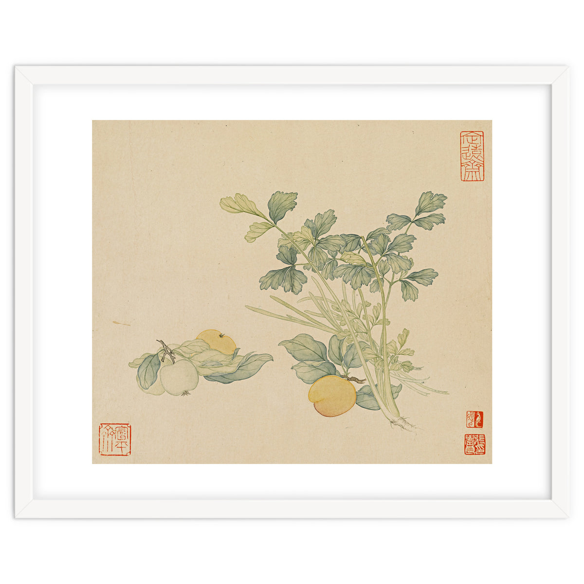 Wang Chengyu~flowers And Vegetables, Vegetables, Fruits, Plums, Apricots, Celery