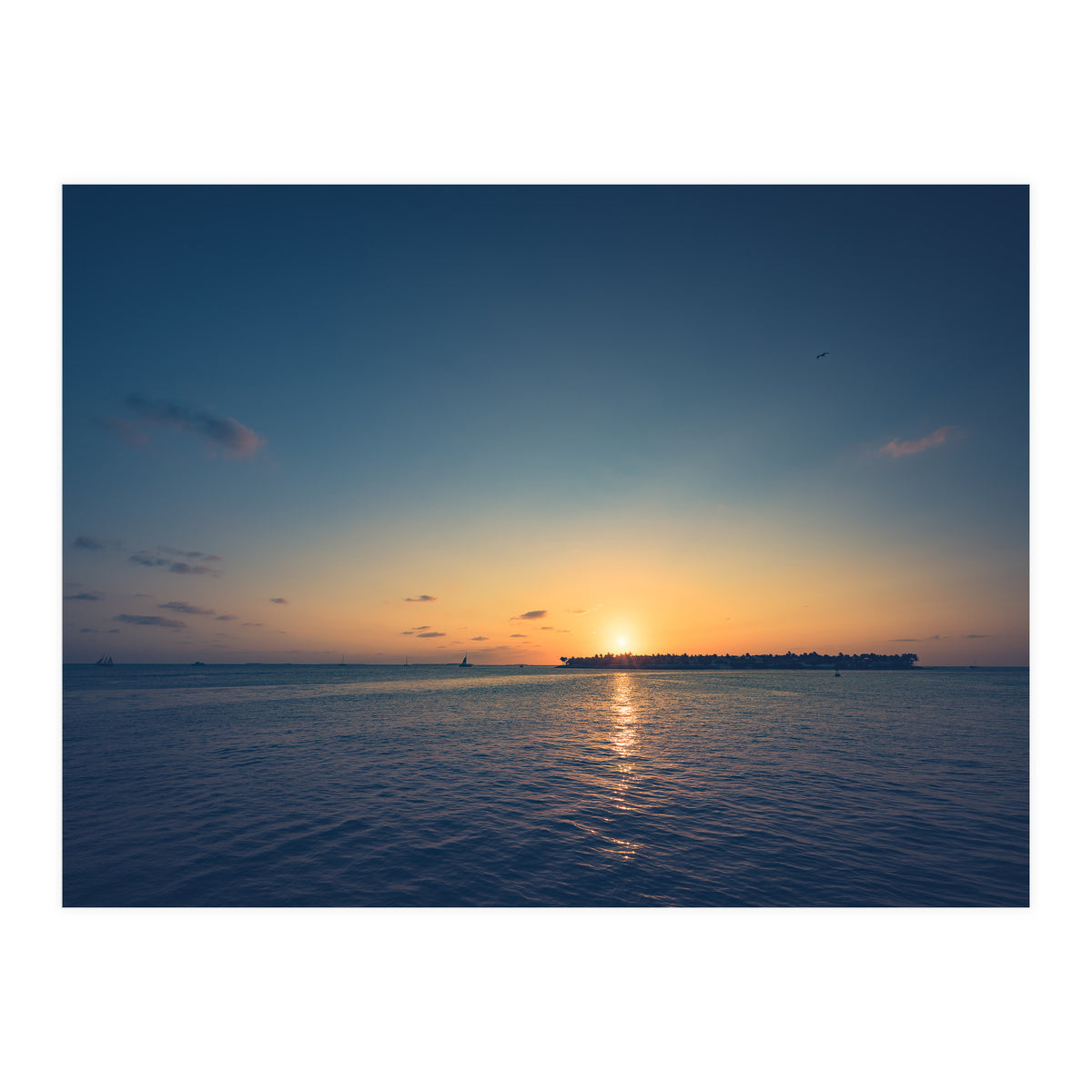 B'dazzled Blue (Print Only)