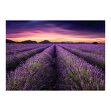 Mindfulness (Print Only) thumbnail
