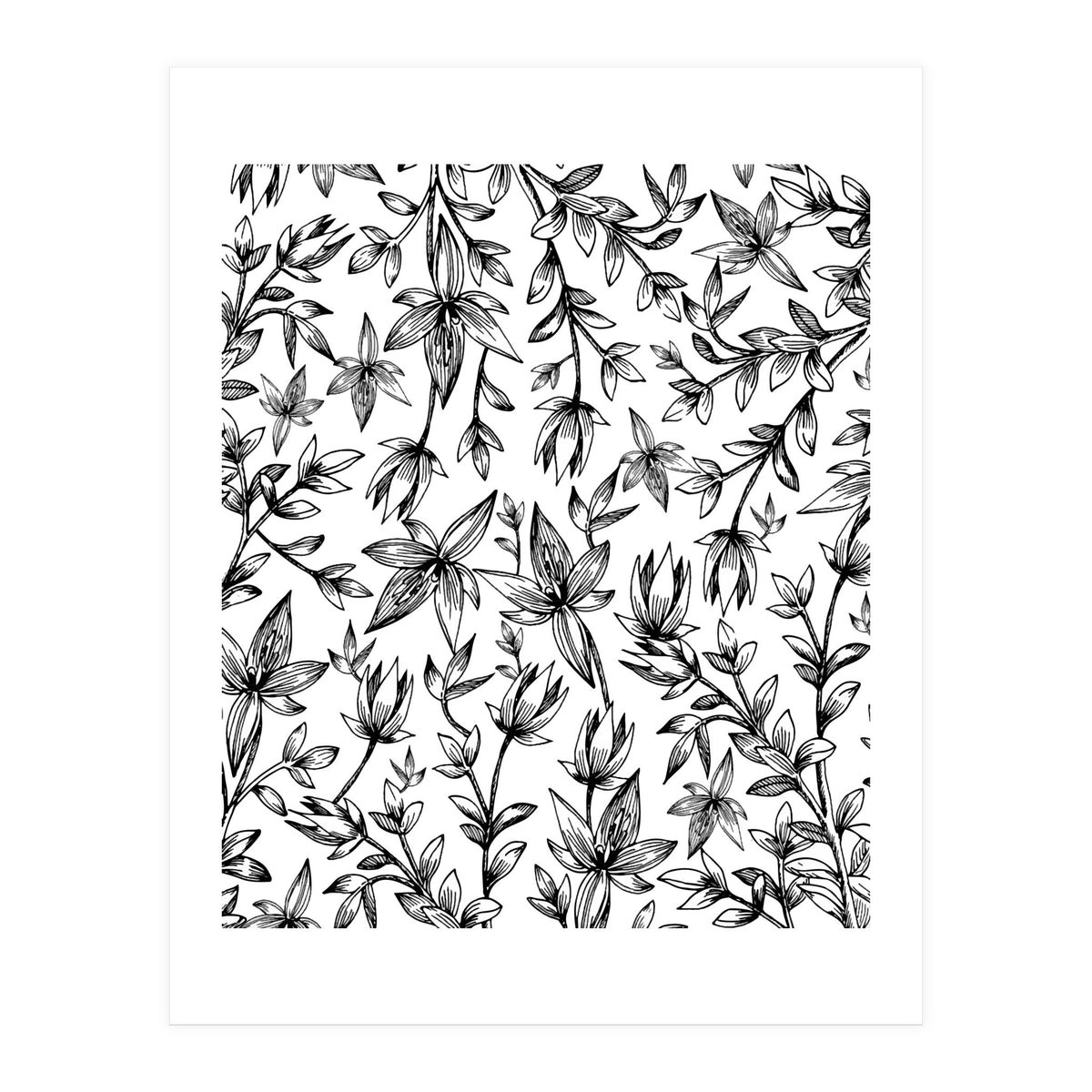 Veli V2 (Print Only)