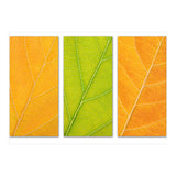 Autumn Leaves (Print Only) thumbnail