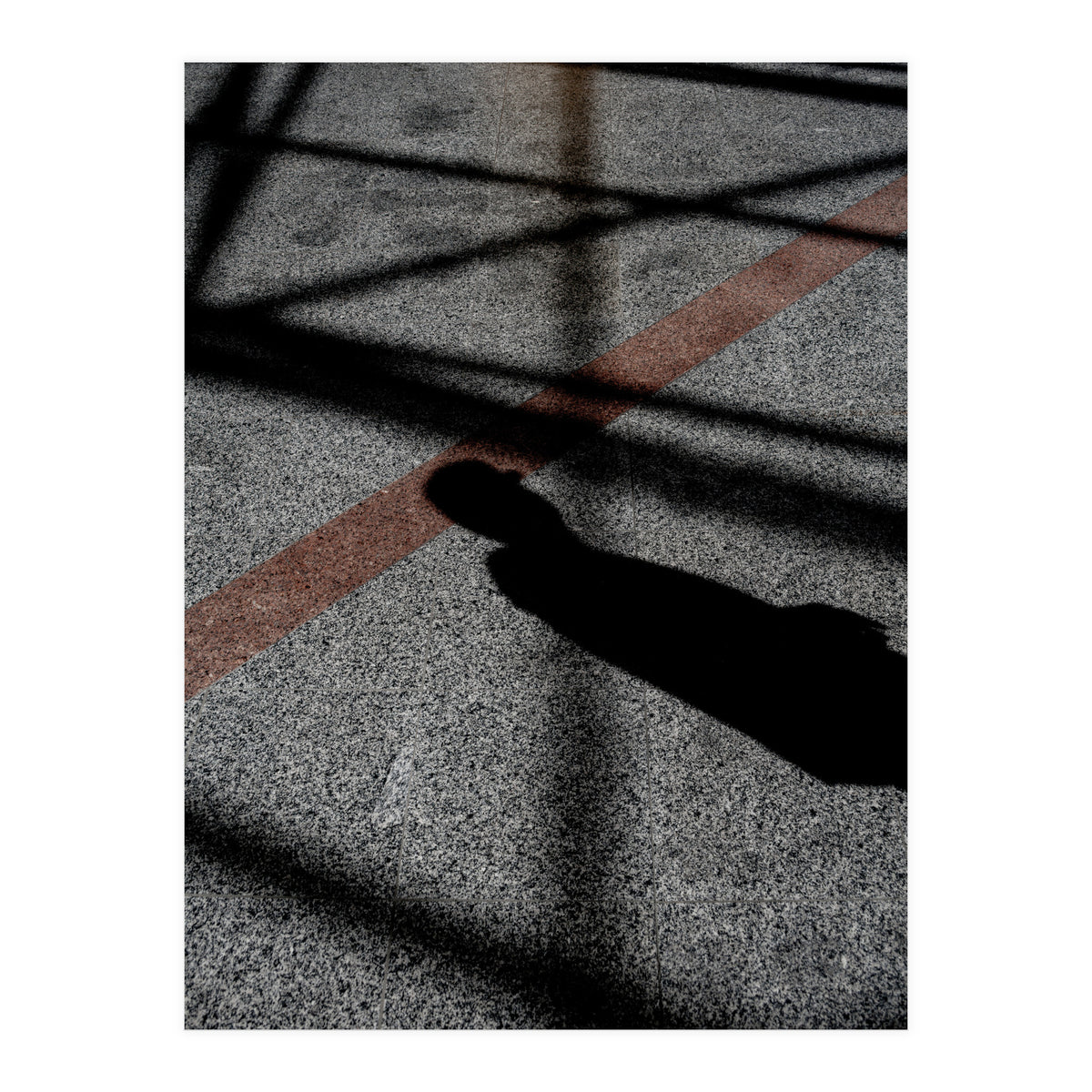 Urban #8 (Print Only)