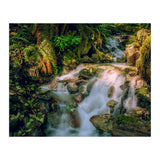 Baker Waterfall - Long Exposure (Print Only) thumbnail