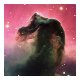 The Horsehead Nebula (Print Only) thumbnail