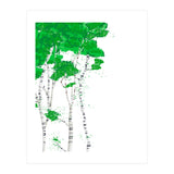Birch forest (Print Only) thumbnail