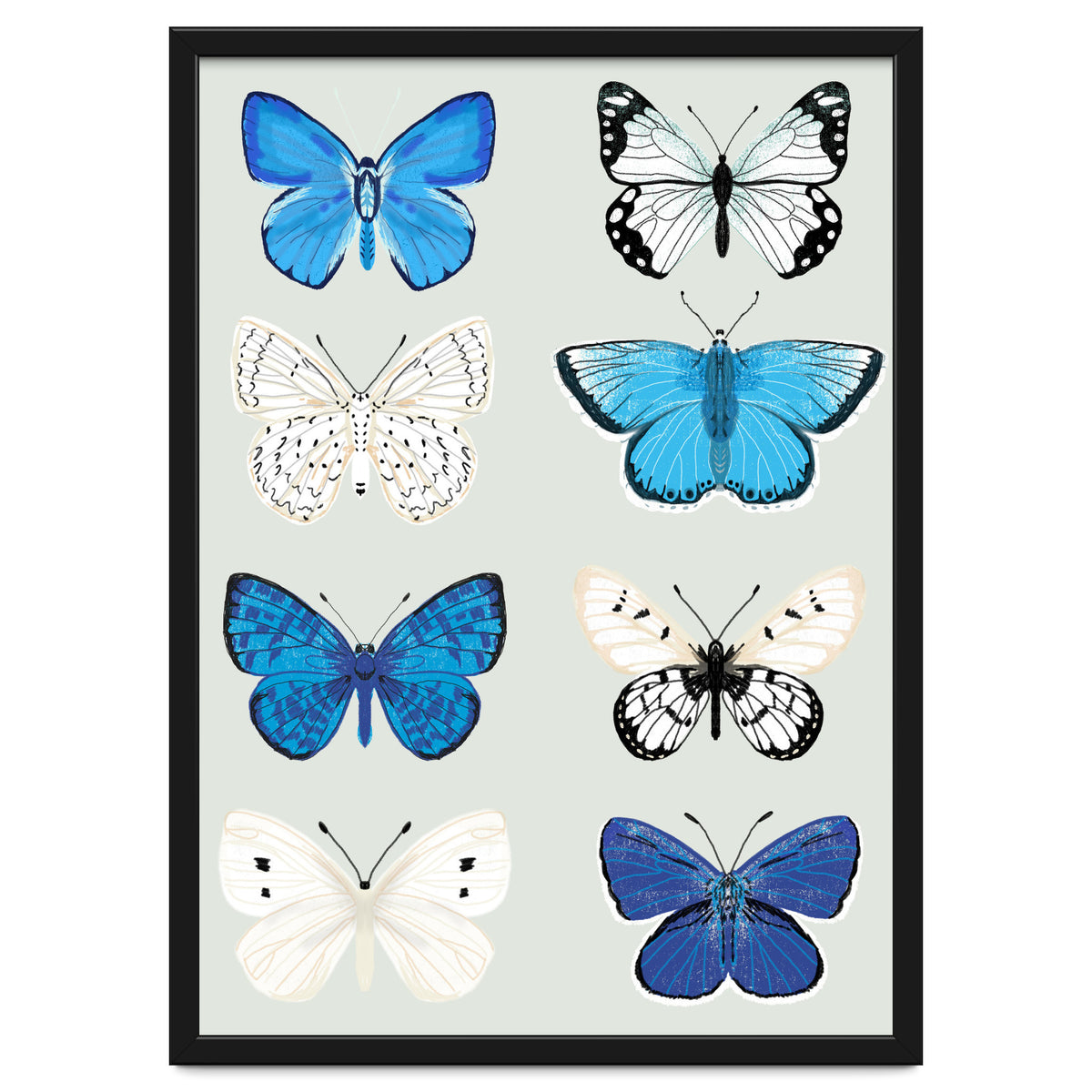 Lepidoptery Study No. 3