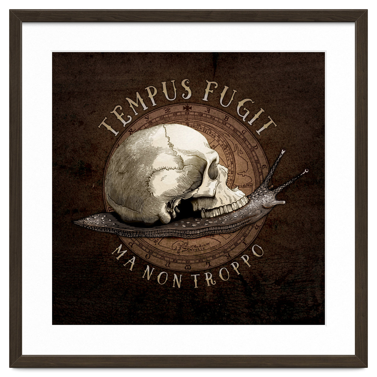 Tempus Fugit (ma non troppo)