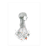 Anatomy (Print Only) thumbnail