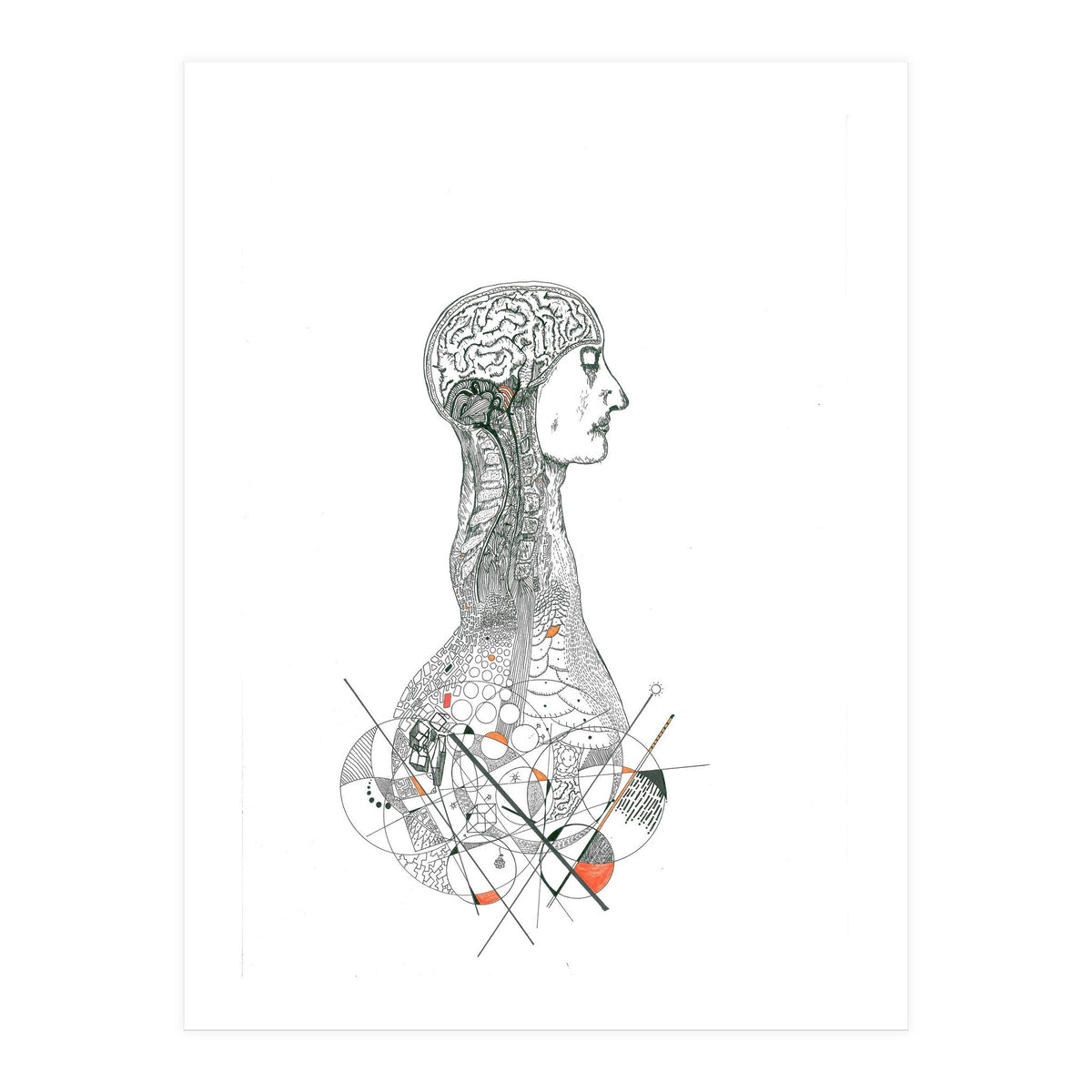 Anatomy (Print Only)