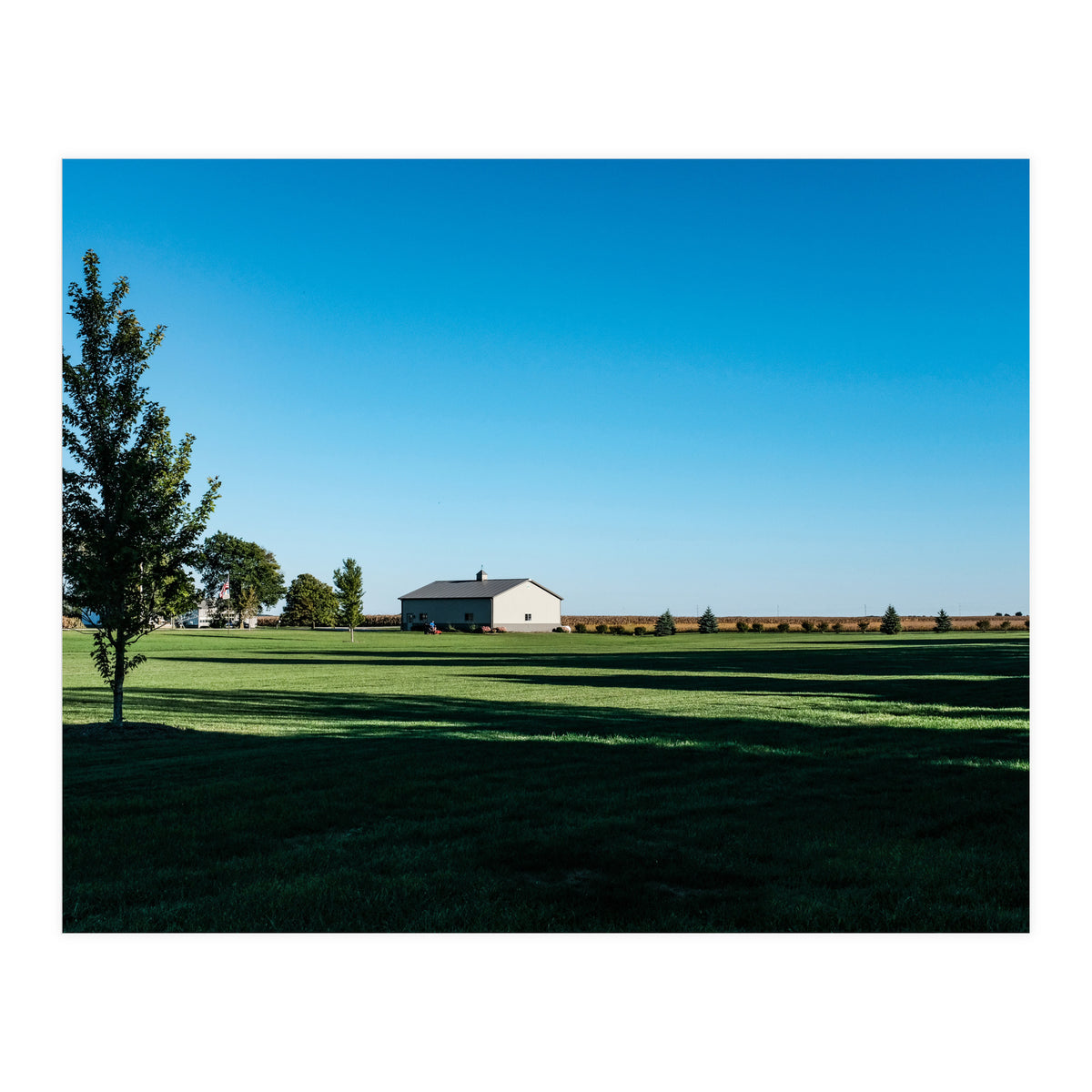Summer evening, rural Illinois (Print Only)