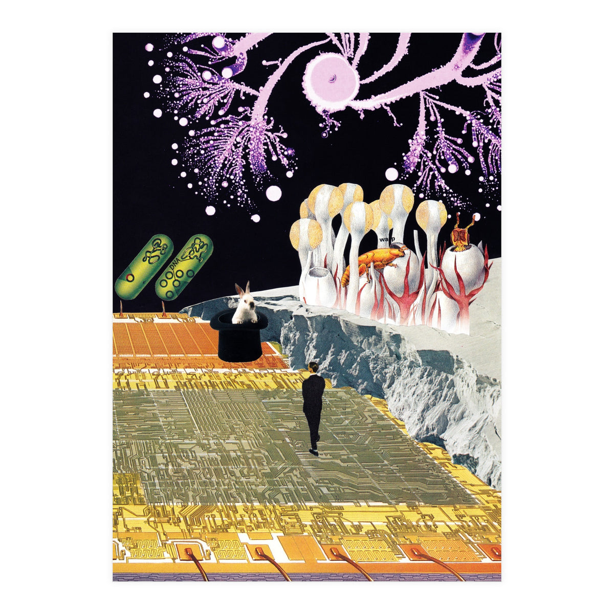 Teleport (Print Only)