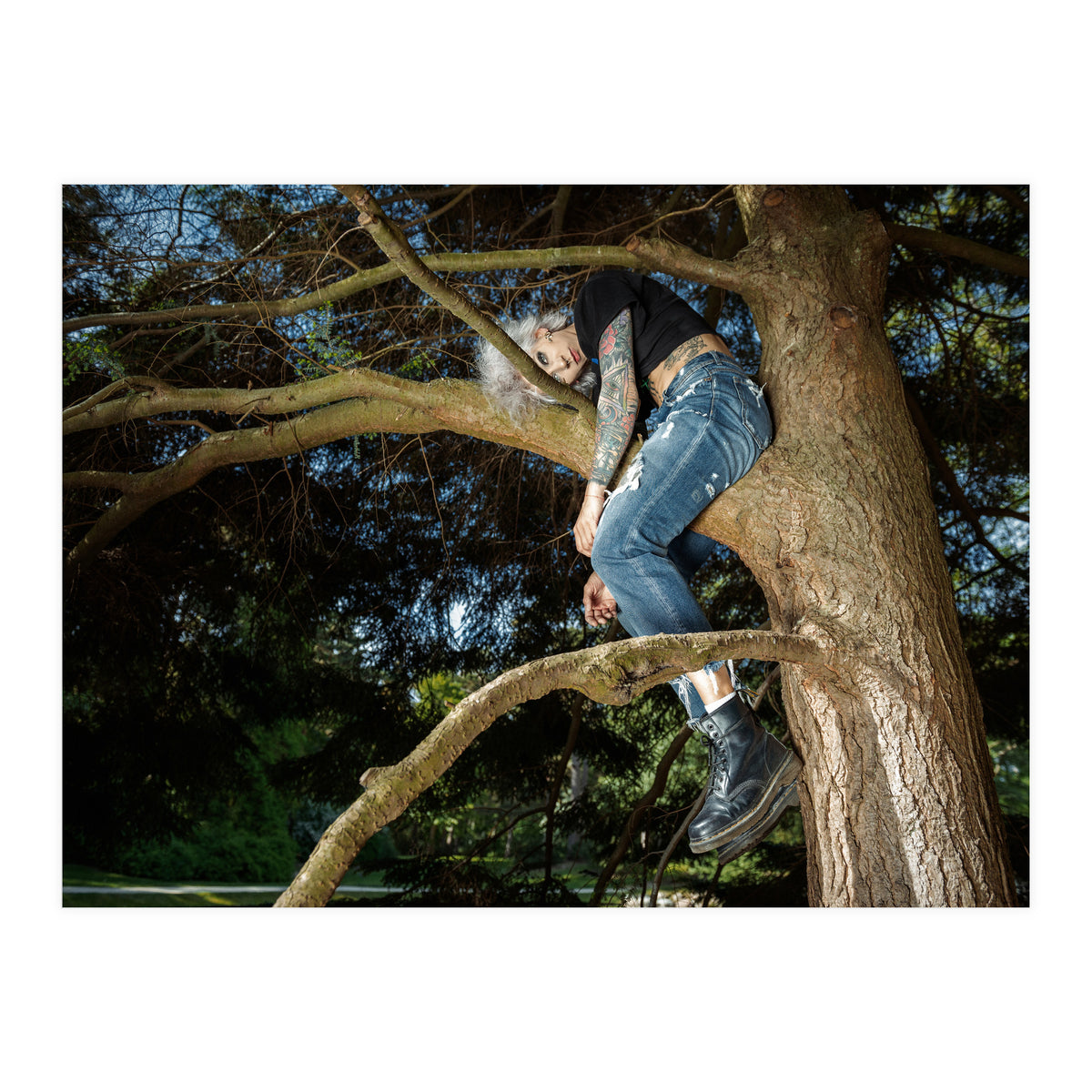 Tree Climber (Print Only)