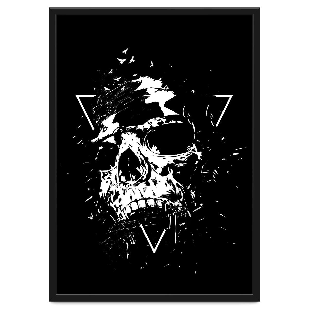 Skull X (Bw)