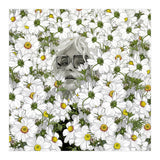 May The Days Be Aimless (Print Only) thumbnail