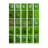 abcde (Print Only) thumbnail