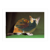 Color Cat (Print Only) thumbnail