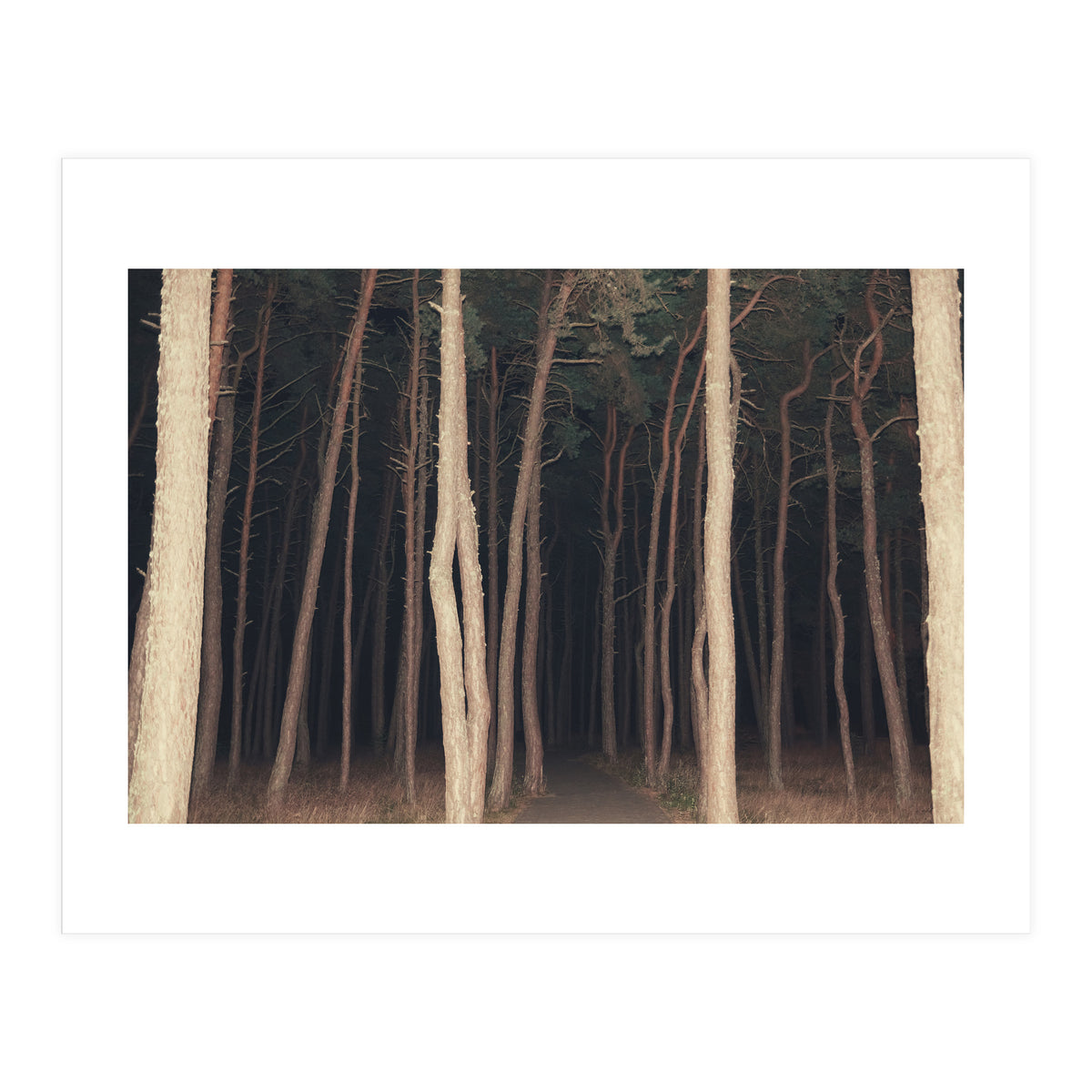 The Slender Man (Print Only)