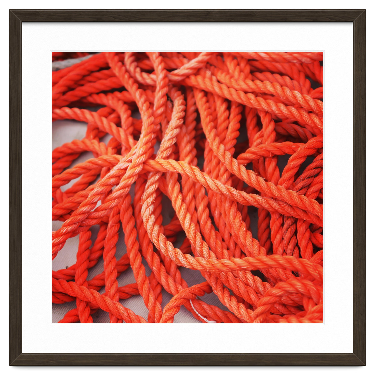 Orange ropes