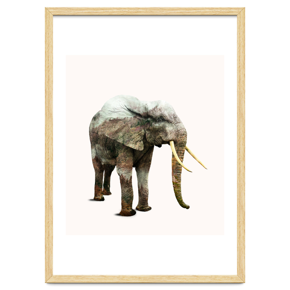 Elephant Transformation