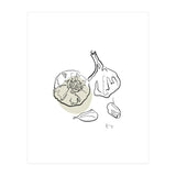 Garlic (Print Only) thumbnail