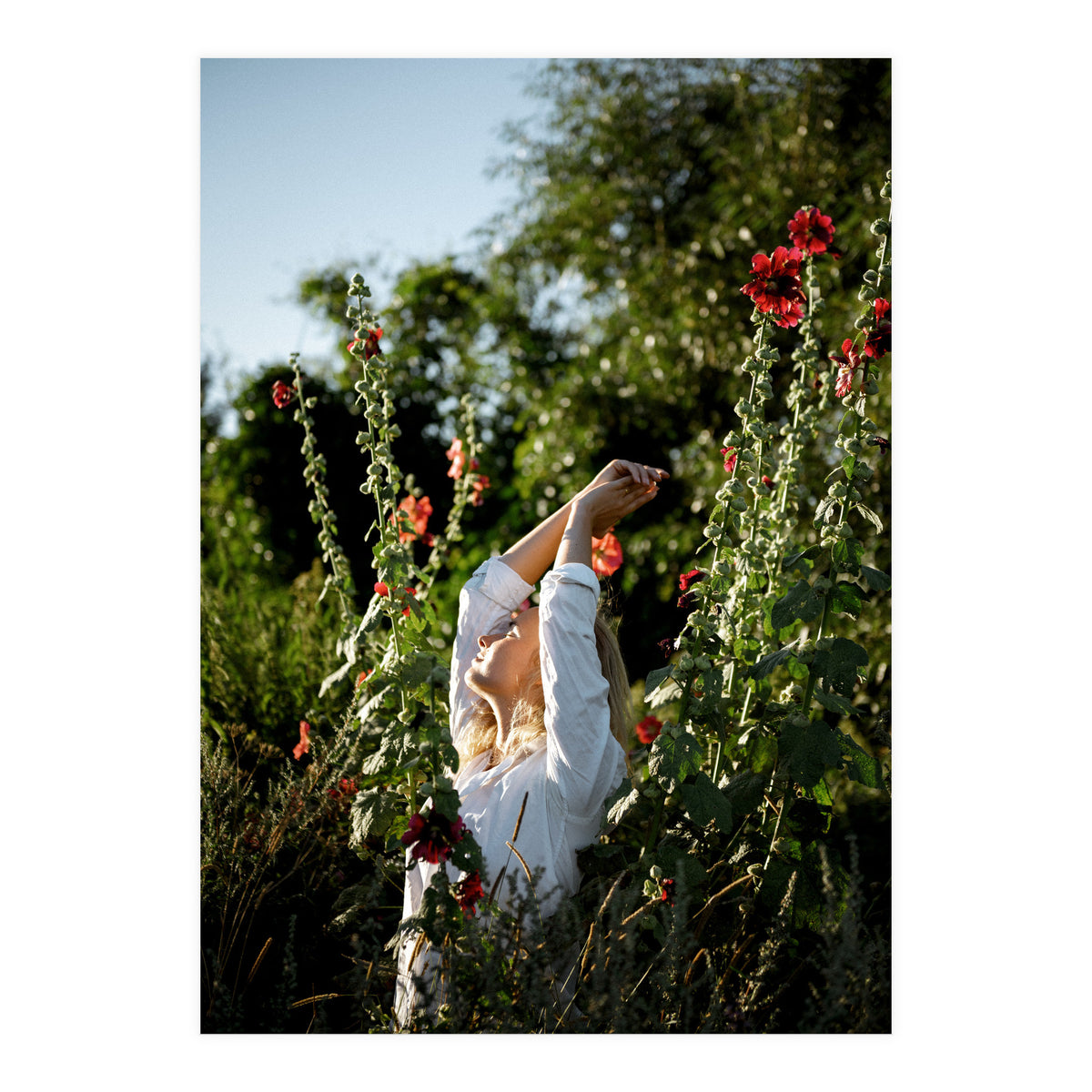 Flowers between Flowers (Print Only)