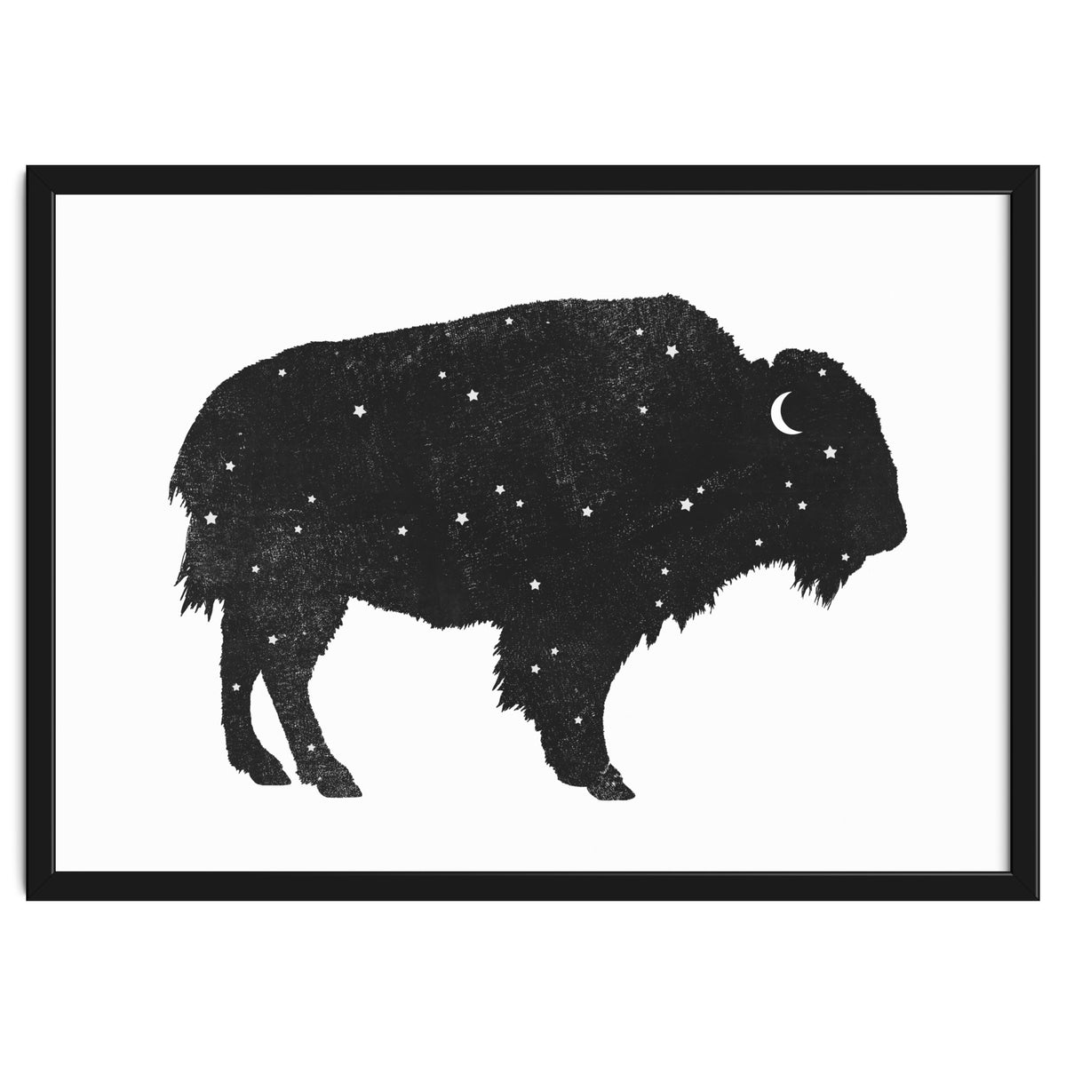 Mystic Buffalo