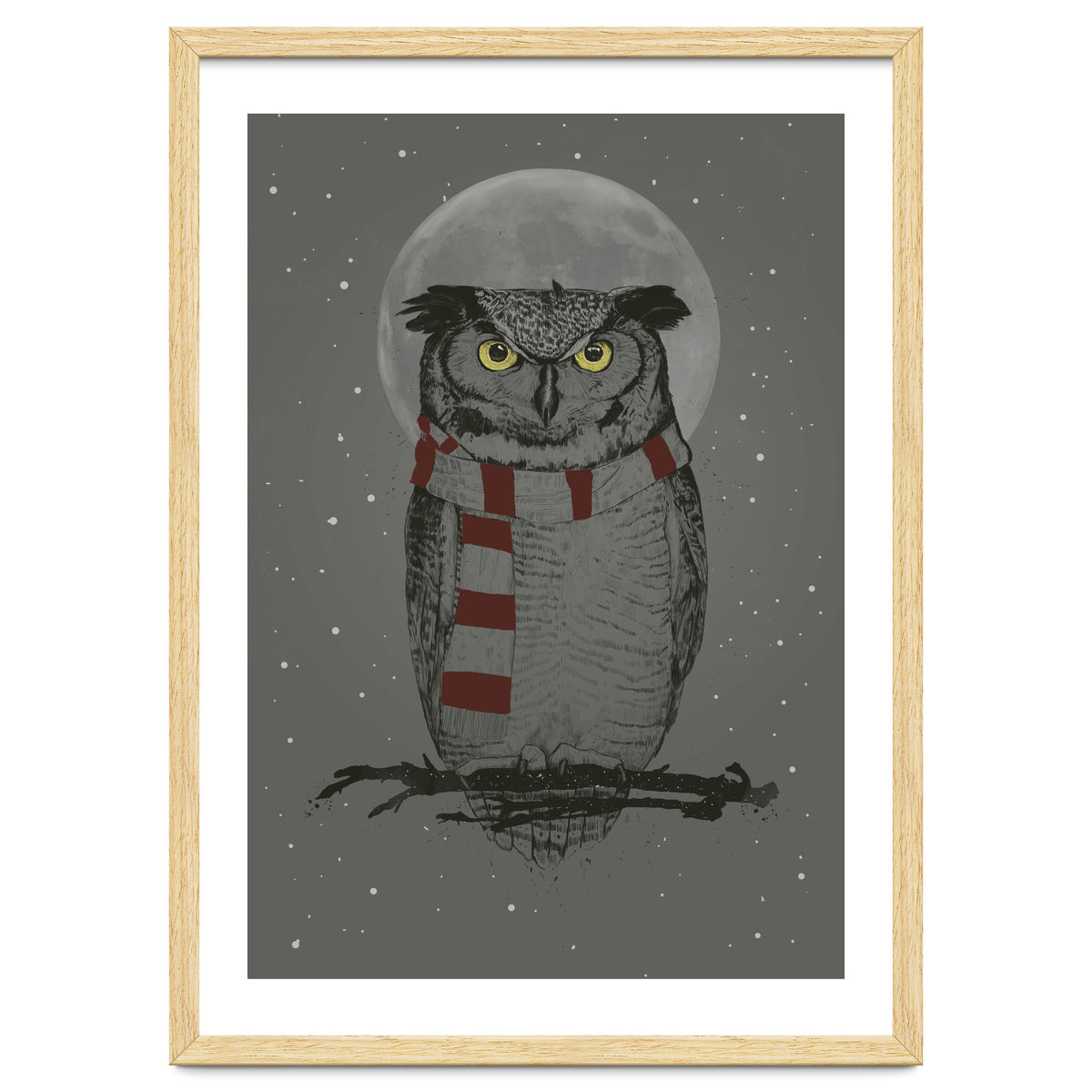 Winter Owl