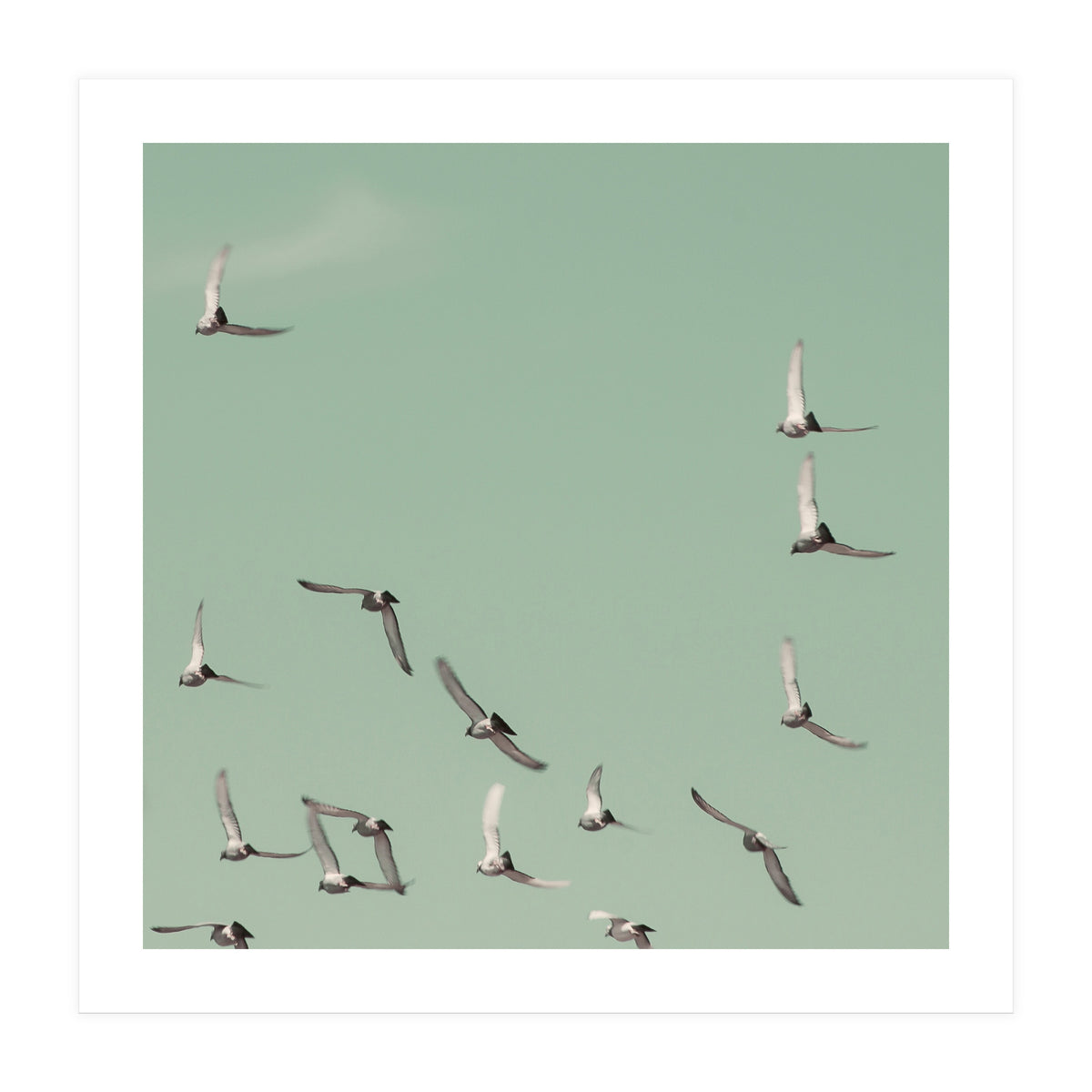 Mint Skies (Print Only)