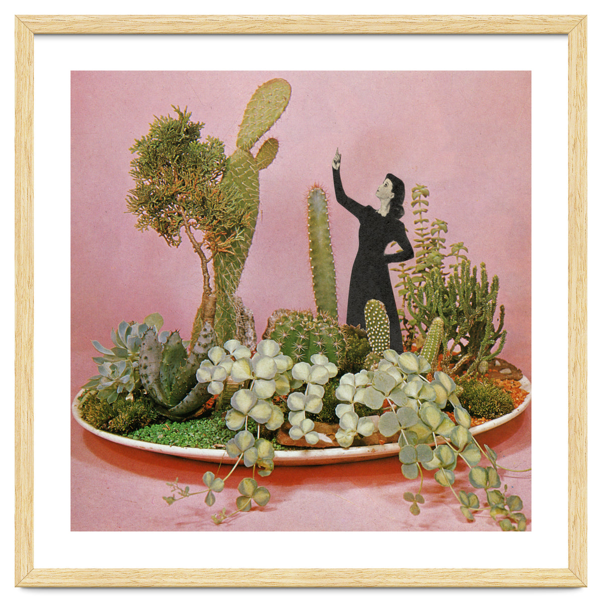 The Wonders Of Cactus Island