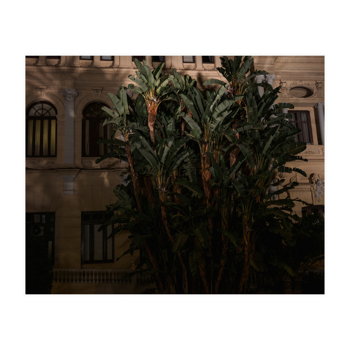 Malaga at Night (Print Only)