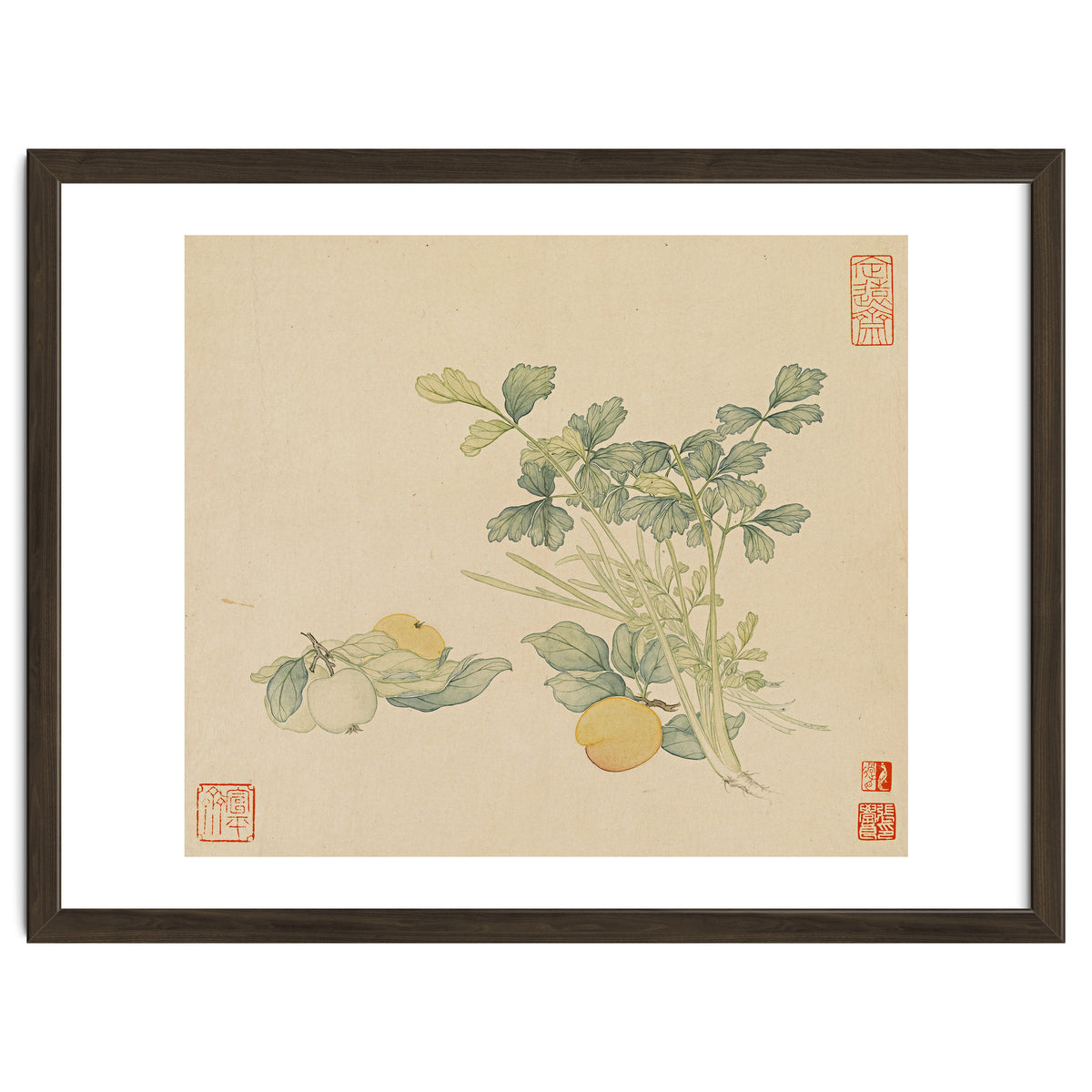 Wang Chengyu~flowers And Vegetables, Vegetables, Fruits, Plums, Apricots, Celery