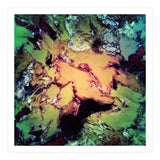 Bathe (Print Only) thumbnail