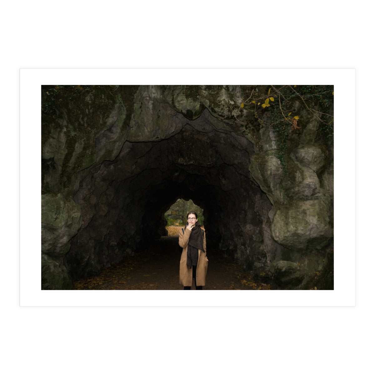 Transition from Summer to Winter (Print Only)