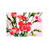 Red Blossom (Print Only) thumbnail