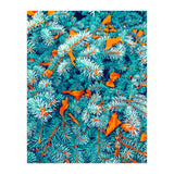 Winter Lush (Print Only) thumbnail