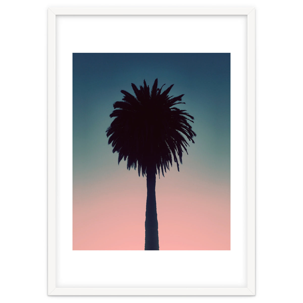 Sundown Palm