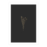 Moody Golden Botanicals (Print Only) thumbnail