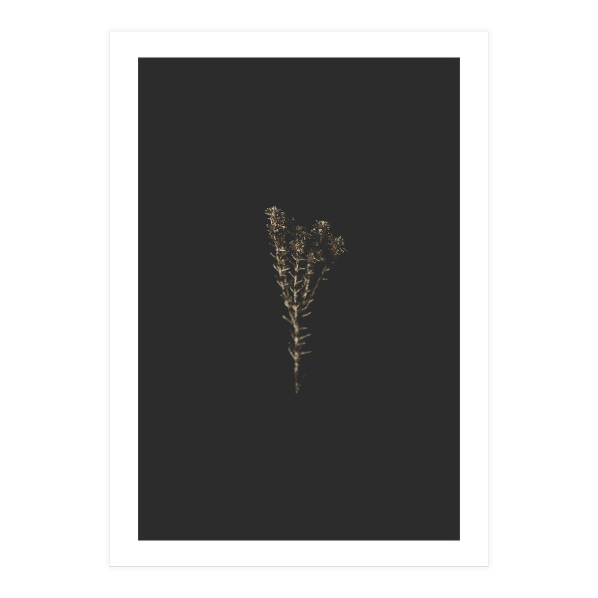 Moody Golden Botanicals (Print Only)