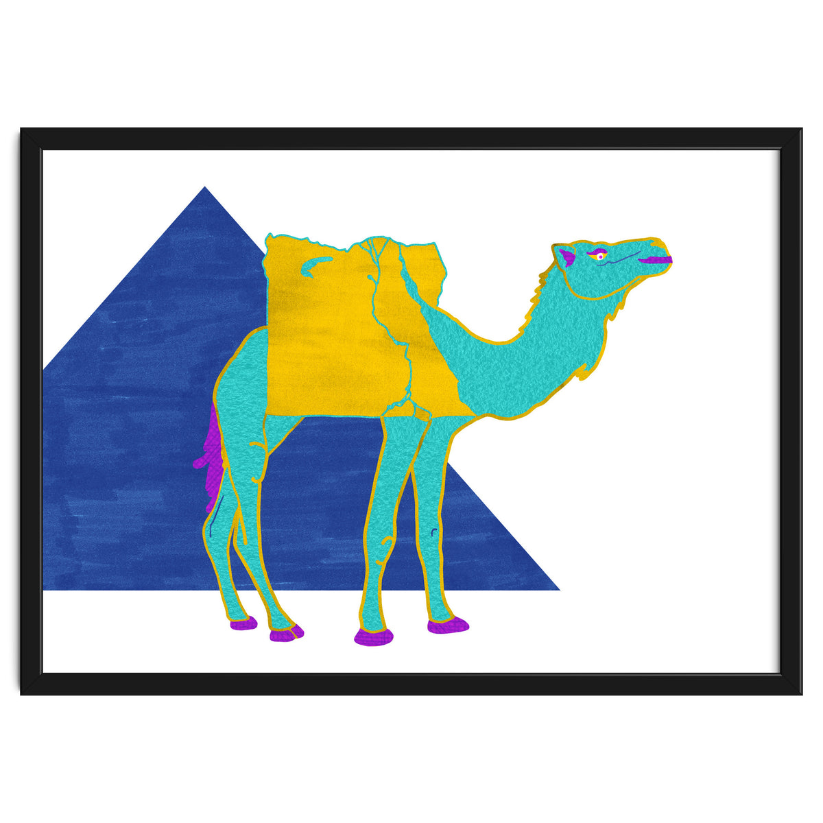 Egyptian Dromedary