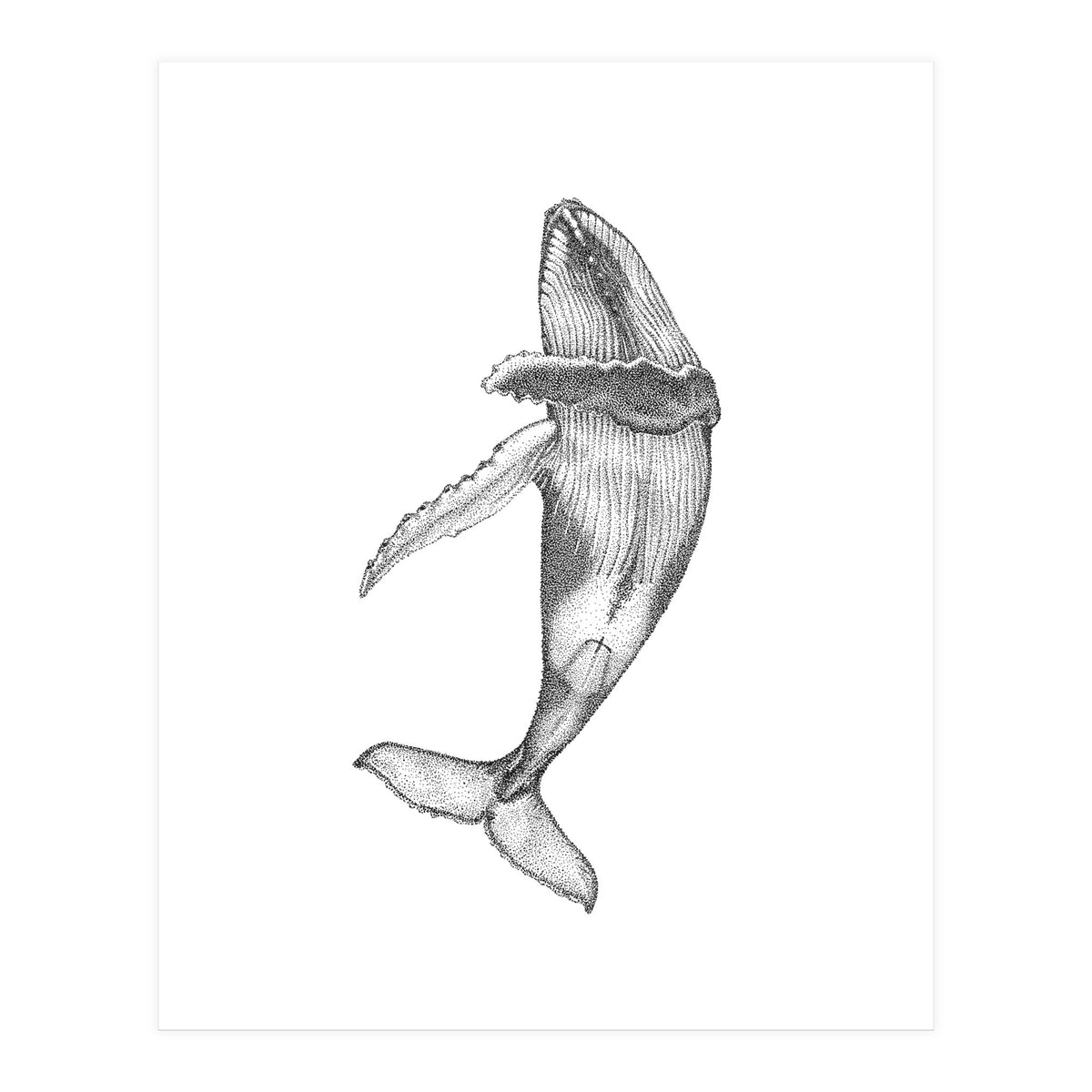 Humpacks no. 2 (Print Only)