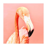 Pink Paradise (Print Only) thumbnail