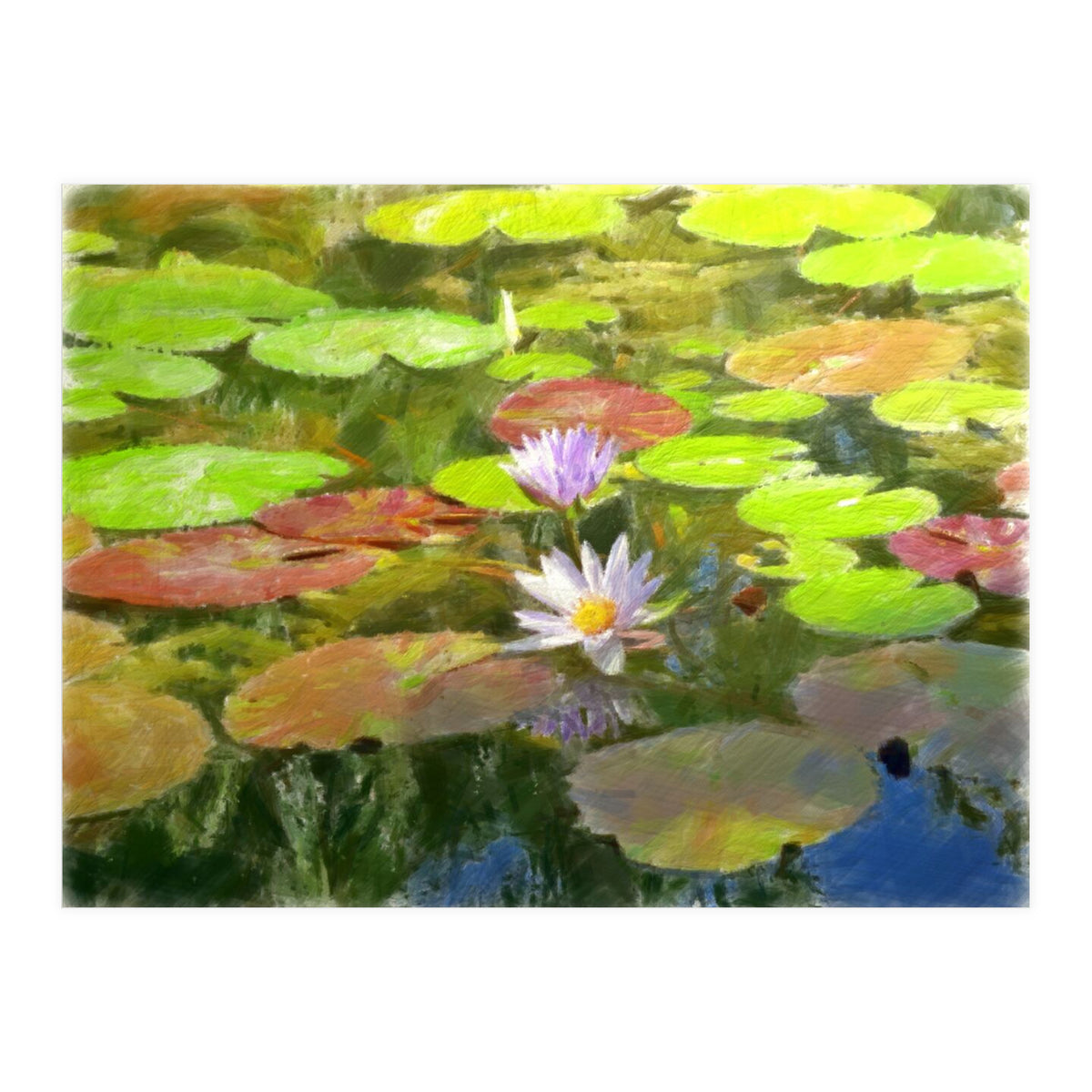 Floating in the water (Print Only)