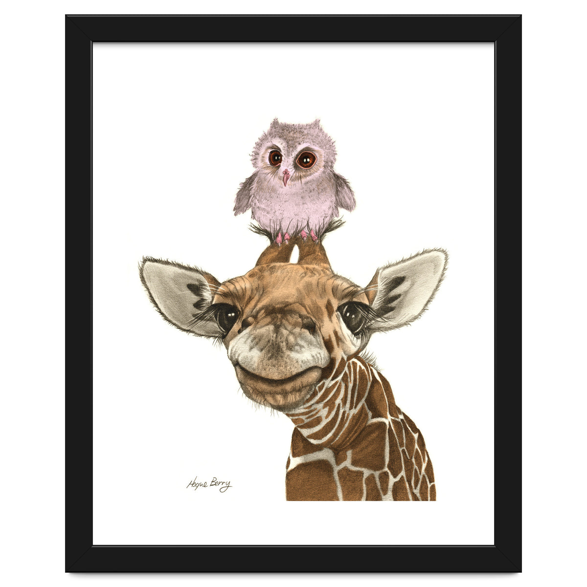 Giraffe and Owl