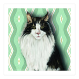 Cat 7: Django (Print Only) thumbnail