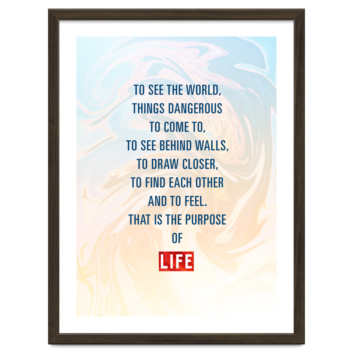 Secret Life of Walter Mitty