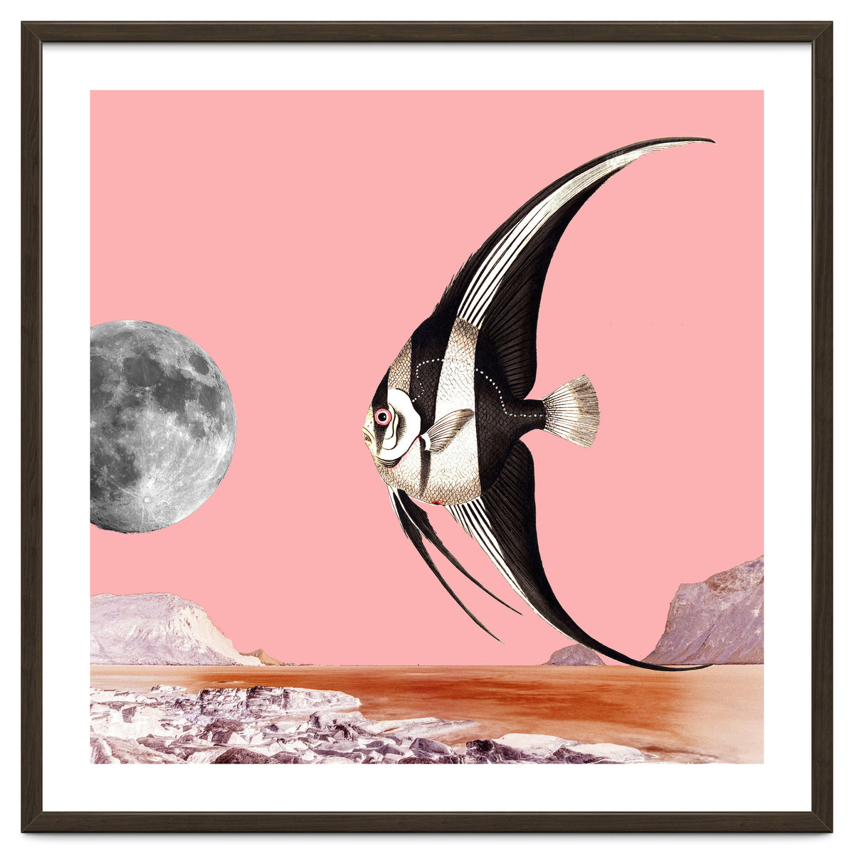 Plenty Of Fish In The Sea Pink