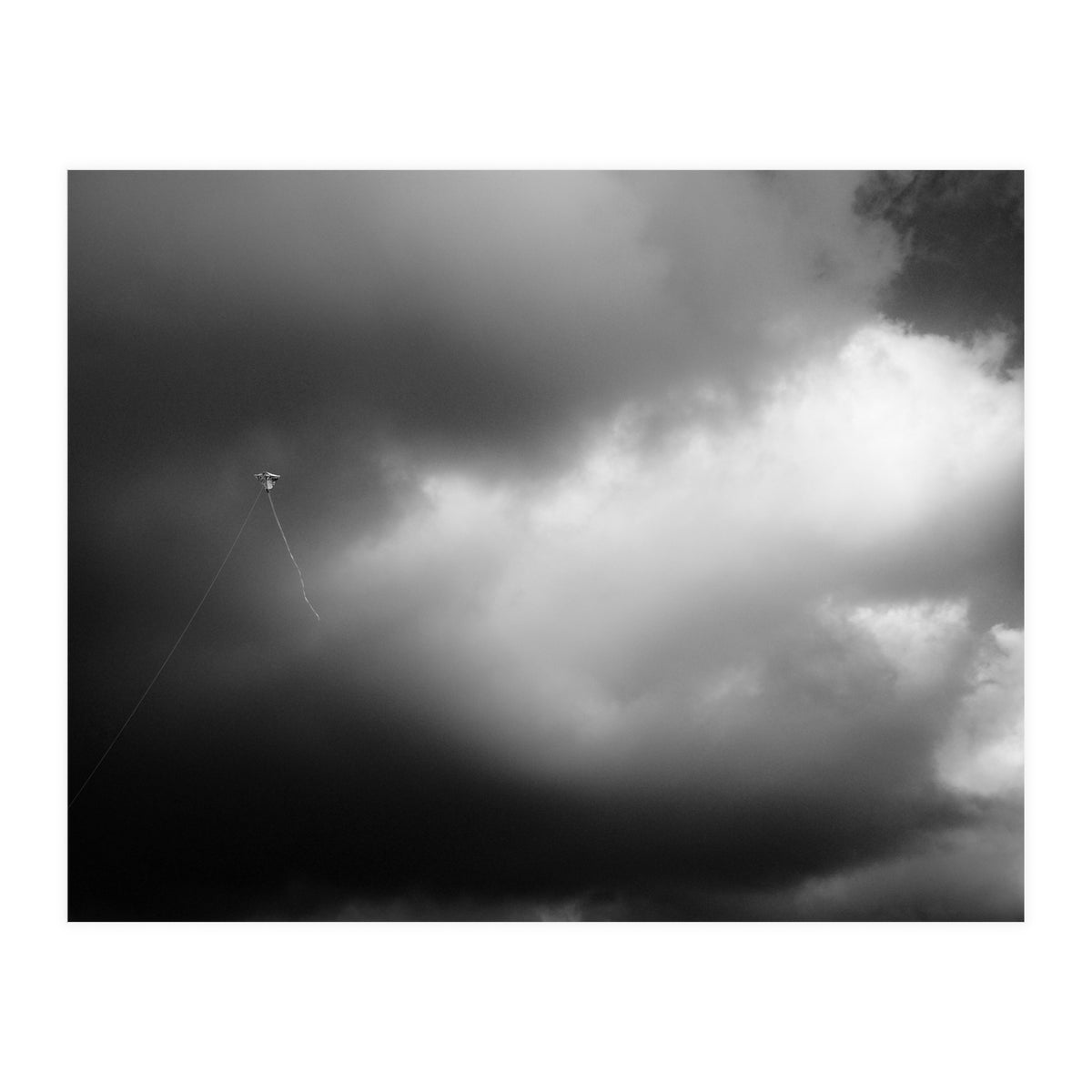 The Kite (Print Only)